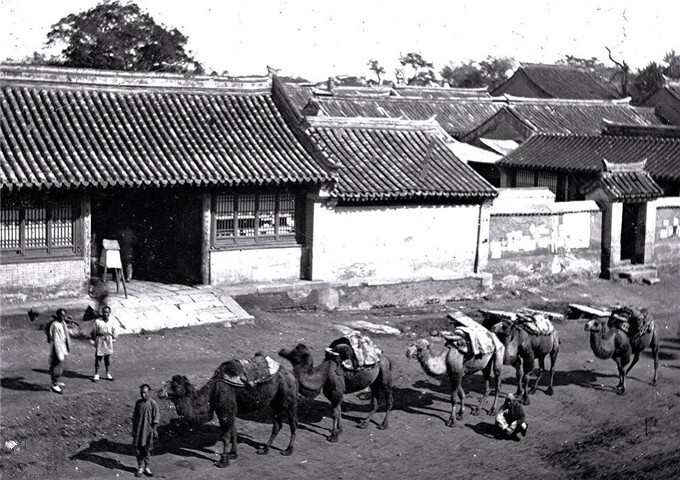 老照片丨英国摄影师镜头里的老北京：驼队穿行在古老的街道-BB姬