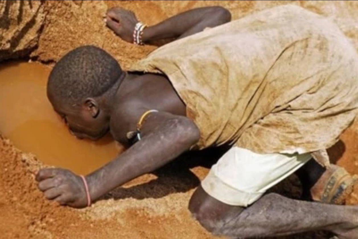 为什么非洲人饿死不种地，渴死不挖井？看完果然“名不虚传”！