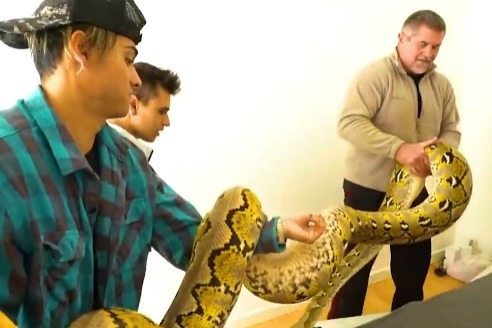 男友作死恶搞熟睡的女友,将巨蟒放在床上,不怕女朋友和他分手吗