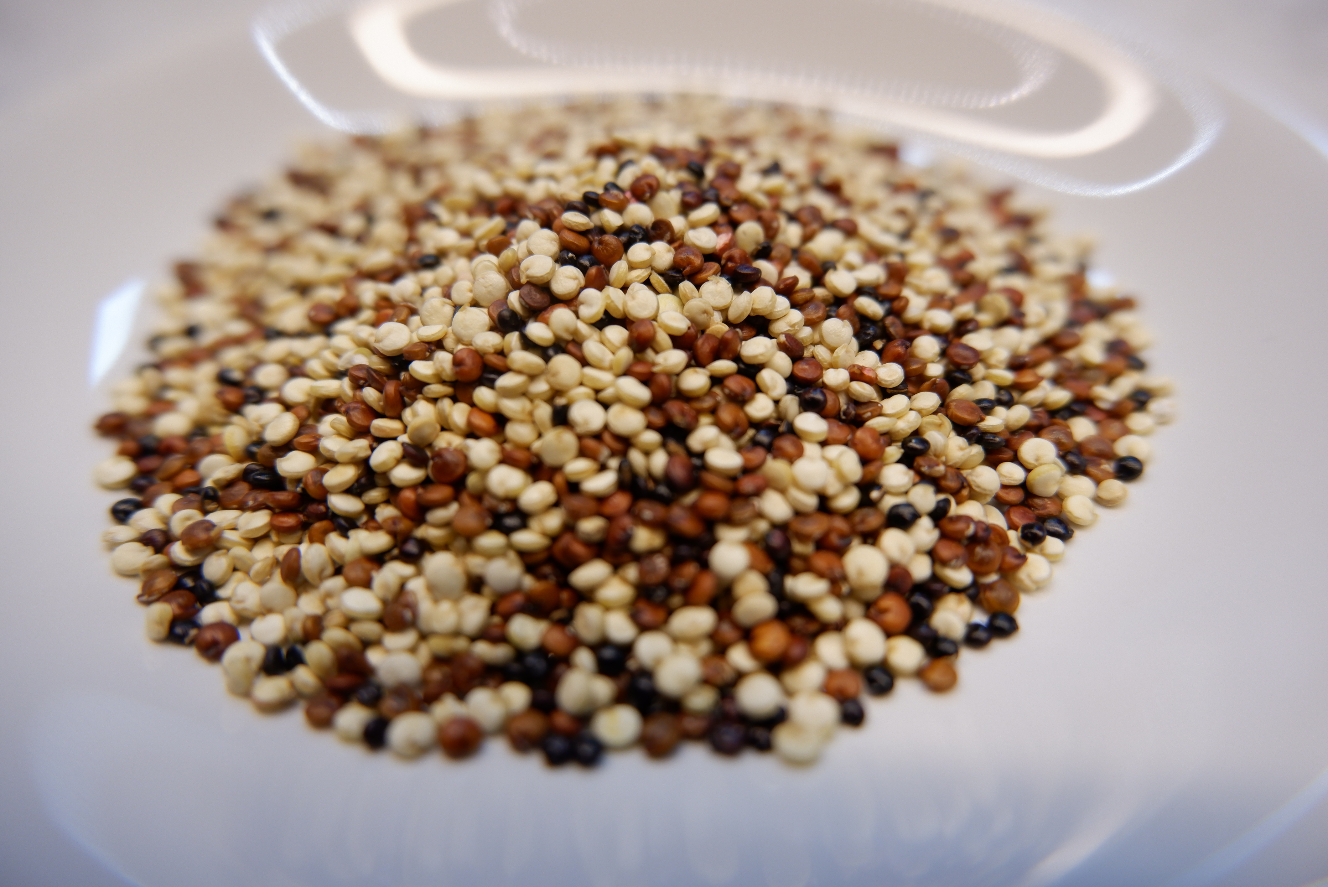 藜麦为什么这样红,参加nasa及联合国选秀,自身素质全面突出__凤凰网