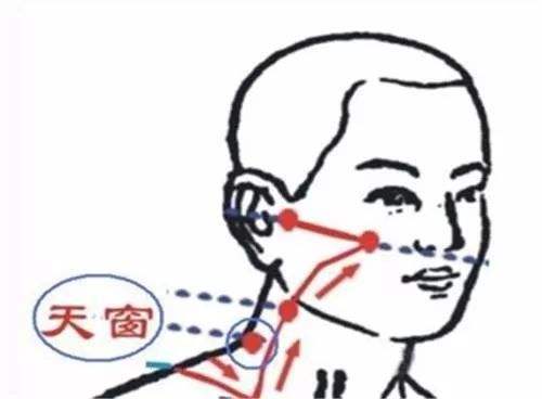 针灸穴名解——小肠经腧穴 天窗__凤凰网