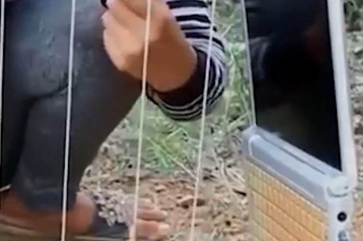 用废弃电脑捕兔，你觉得怎么样？