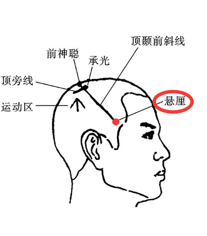 针灸穴名解——胆经腧穴悬厘__凤凰网