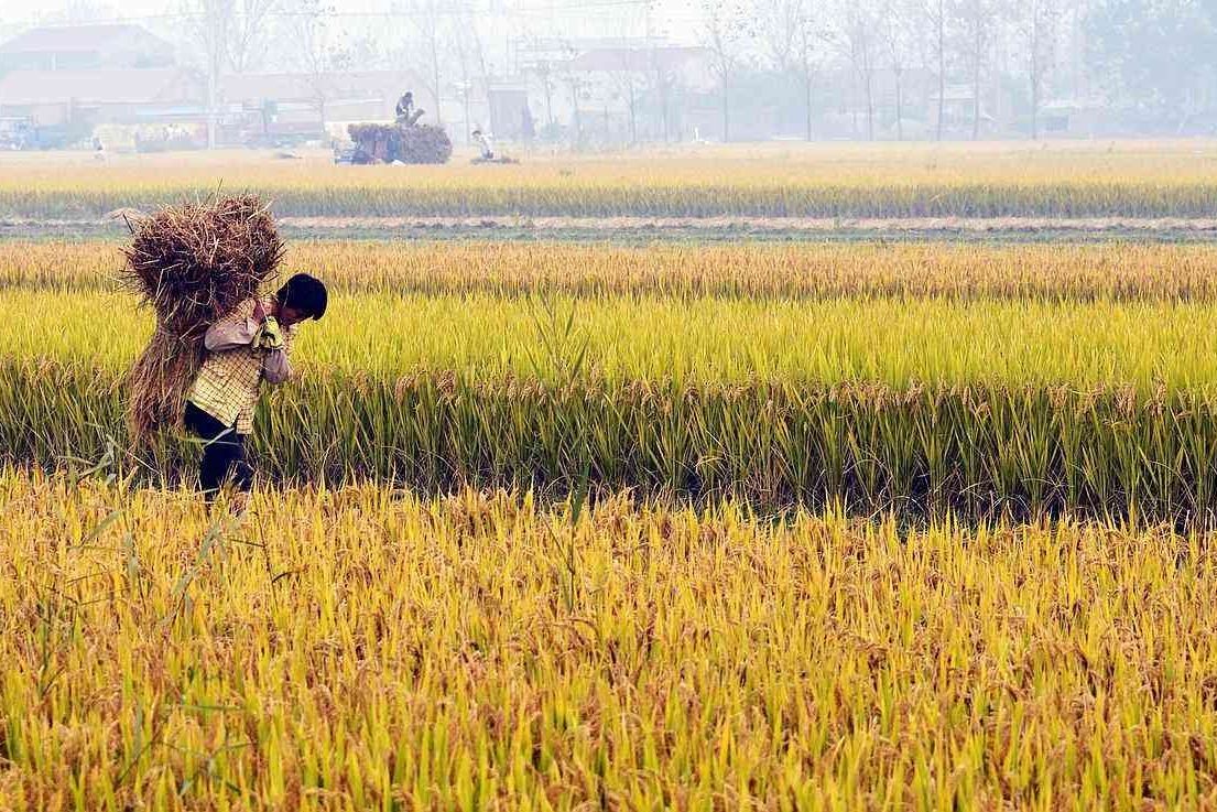 俗话说:笑贫不笑娼,其实还有下一句,穷人更要