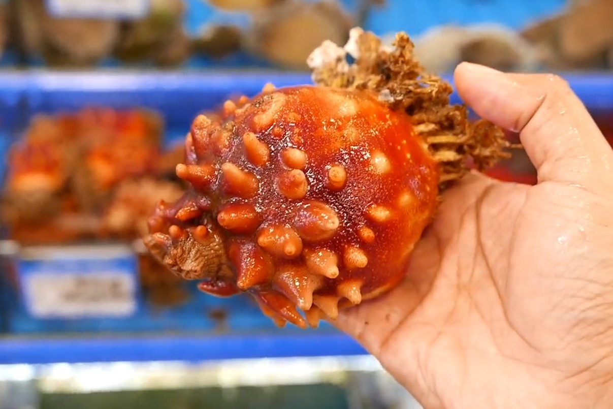 韩国街头美食,凉拌海鞘刺身,长的十分有趣