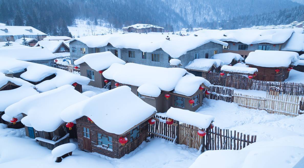 翠花上酸菜雪村图片