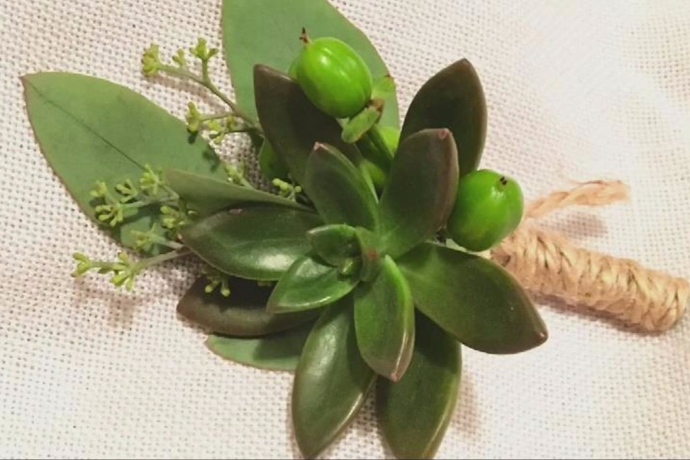 多肉种植教学视频大全 157b93823cdb4e4d75bfa3f7c66f0ef87bbf8dab_size132_w973_h648.jpg