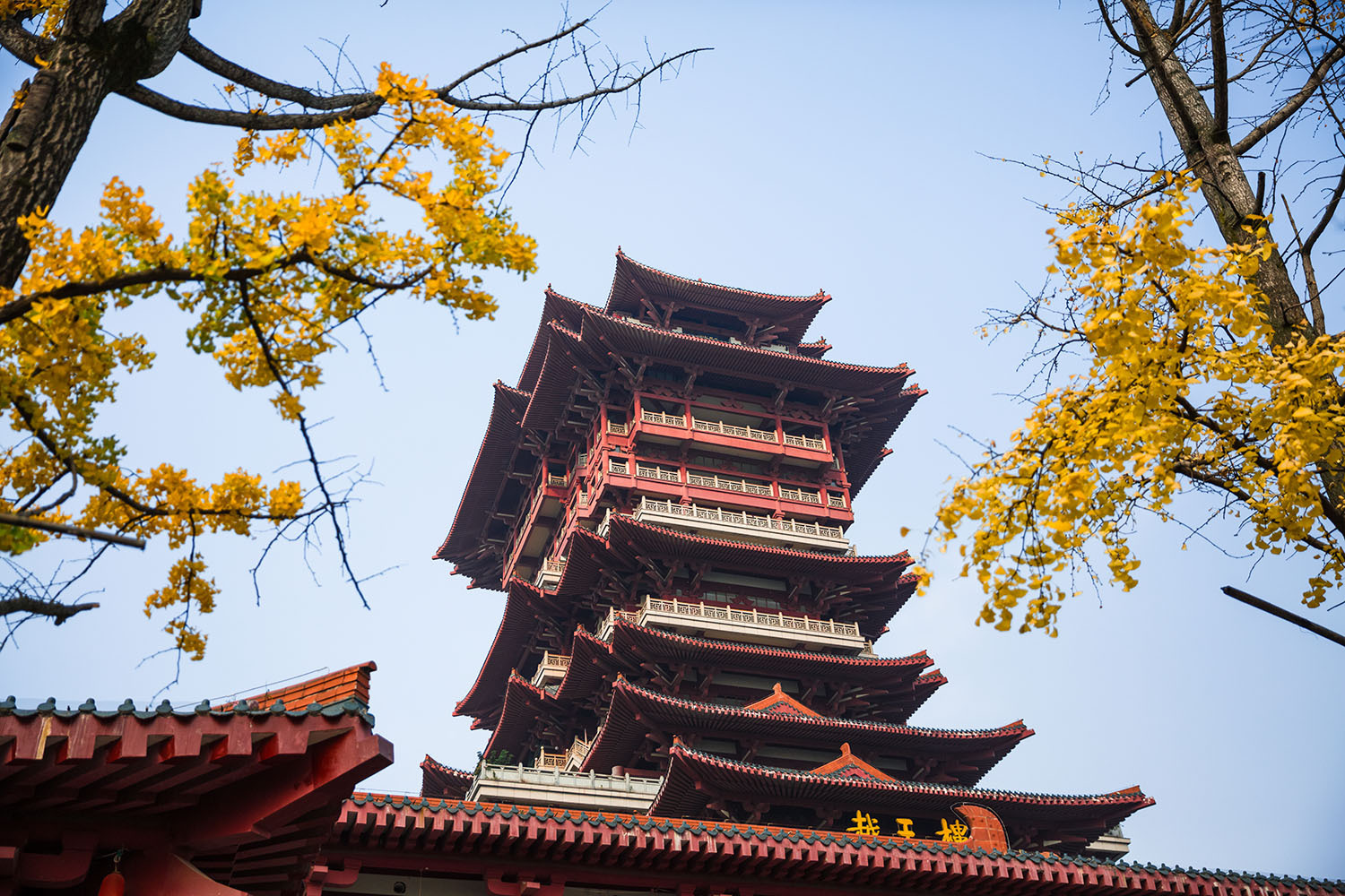 初冬里的童话 广汽丰田c-hr川北冬日自驾游(上)