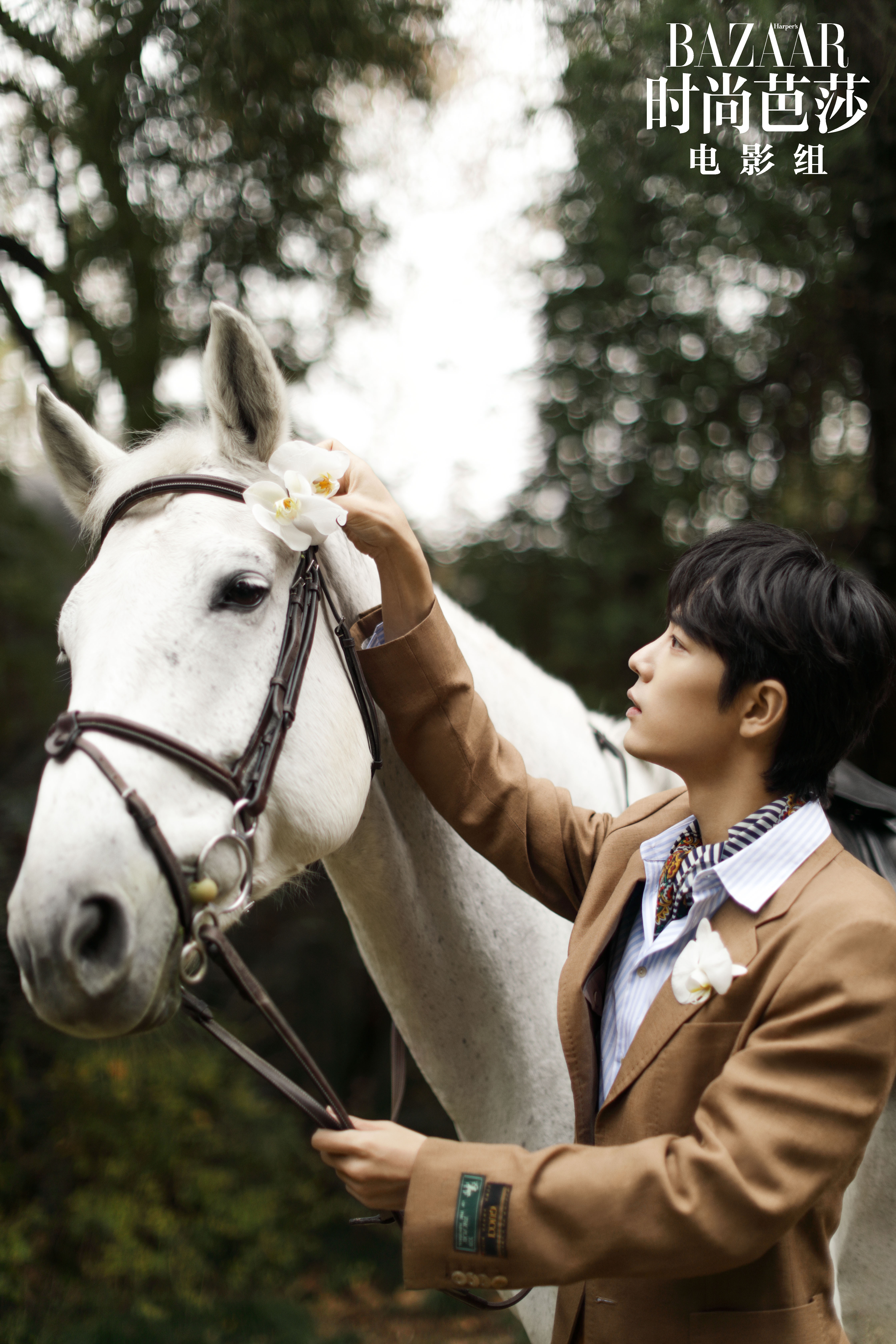 肖战又拍芭莎照啦!白马王子认证__凤凰网