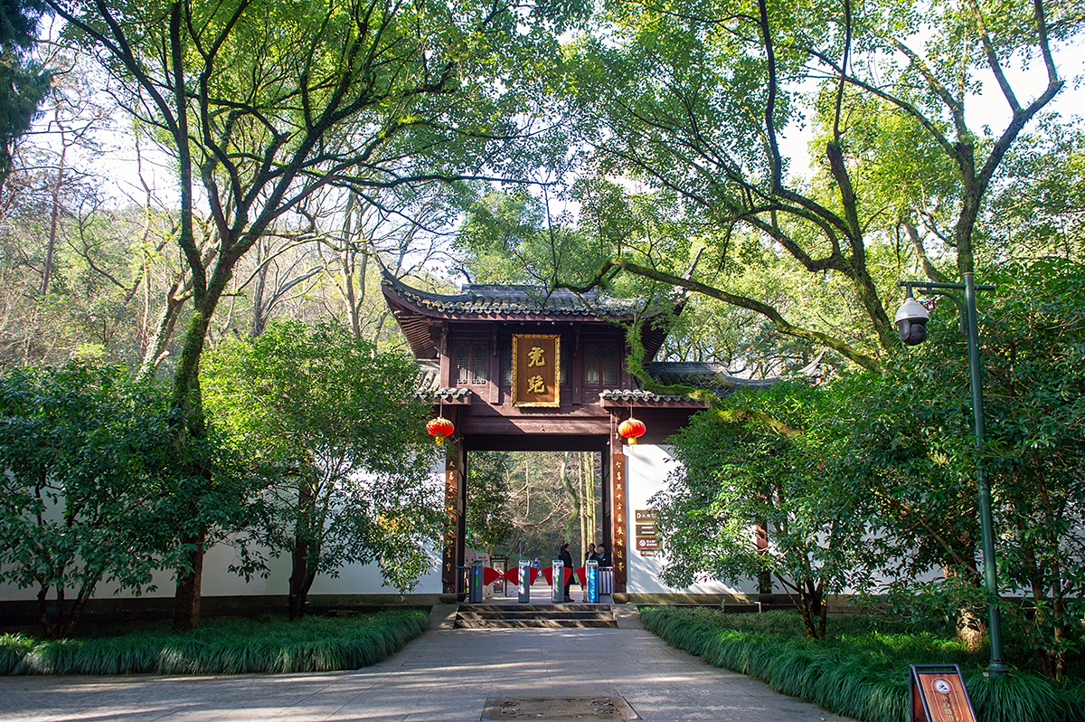 天下第三泉虎跑水西湖龙井最佳拍档