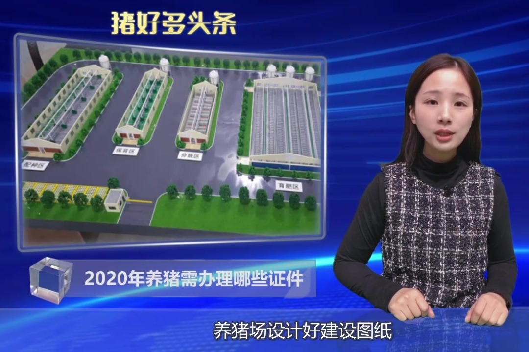 2020年养猪需要办理的这8个证件，你都办齐了吗？