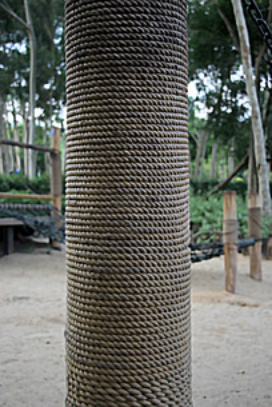 给路边的树上绑一层麻绳有什么作用呢?__凤凰网