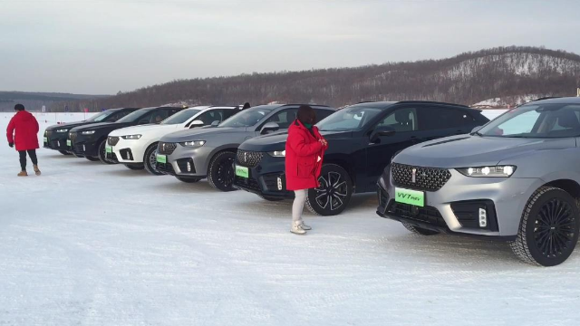 各种颜色的绿牌WEY VV7，你喜欢哪一款？