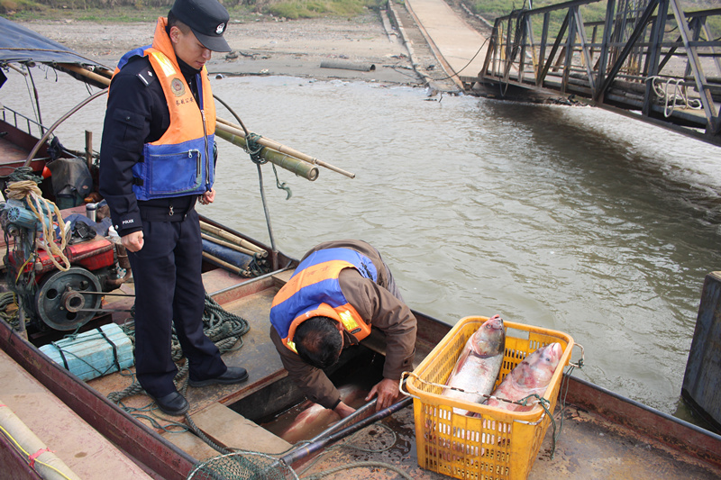 长江安庆,池州段十年禁捕期首起非法捕捞水产品案成功告破__凤凰网