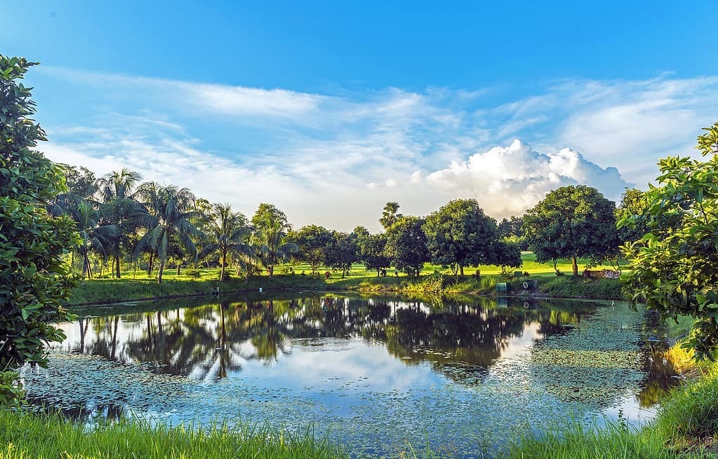 迷人的孟加拉国:未经雕琢的大自然,质朴清新