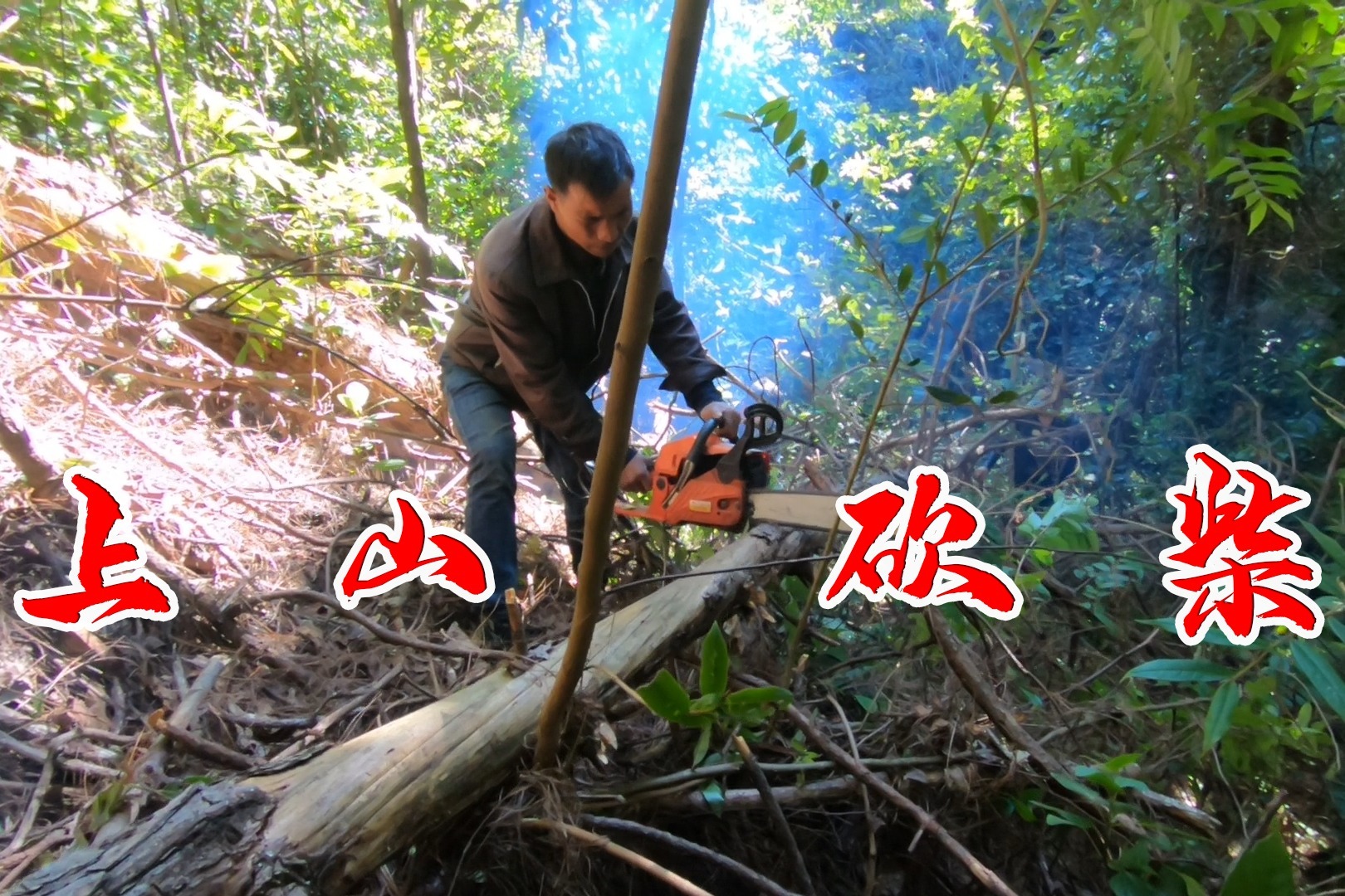 快过年了，和寨子里的男子一起到上山砍点儿柴，给过年加点温度