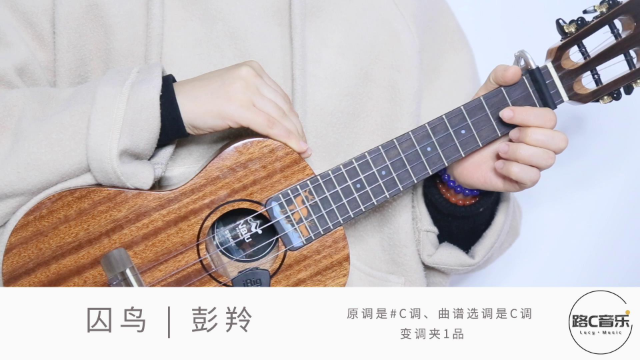 《囚鸟》彭羚 尤克里里弹唱_凤凰网视频_凤凰网