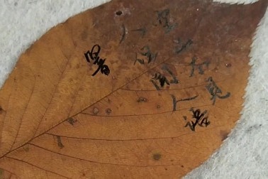 行书书法《空山不见人，但闻人语响。》