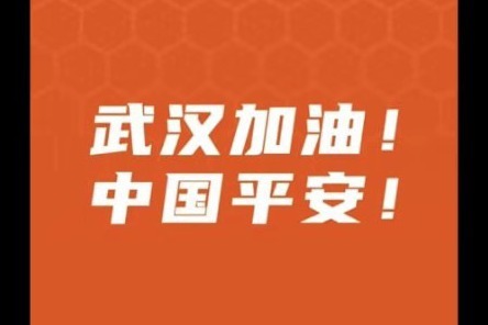 抗疫大事记，我们一直在努力！武汉加油！中国平安！