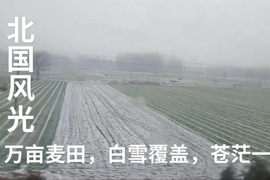 小王拍摄列车窗外的雪景，大美北国风光，白雪覆盖一望无际的麦田