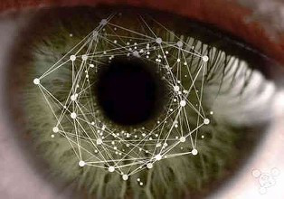 虹膜是位于黑色瞳孔和白色巩膜之间的圆环状部分,其包含有很多相互