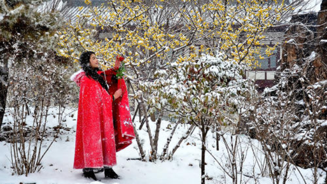 踏雪寻梅笛子独奏琴台乐坊