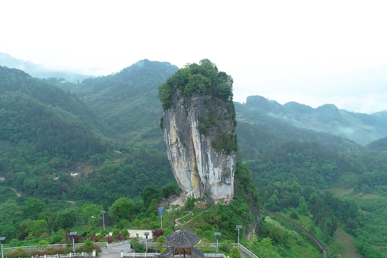 贵州山村发现一颗天然大白菜，无公害原生态，大自然鬼斧神工