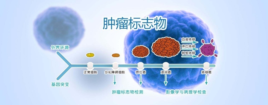 怎么看肿瘤的生长速度?可以控制吗?