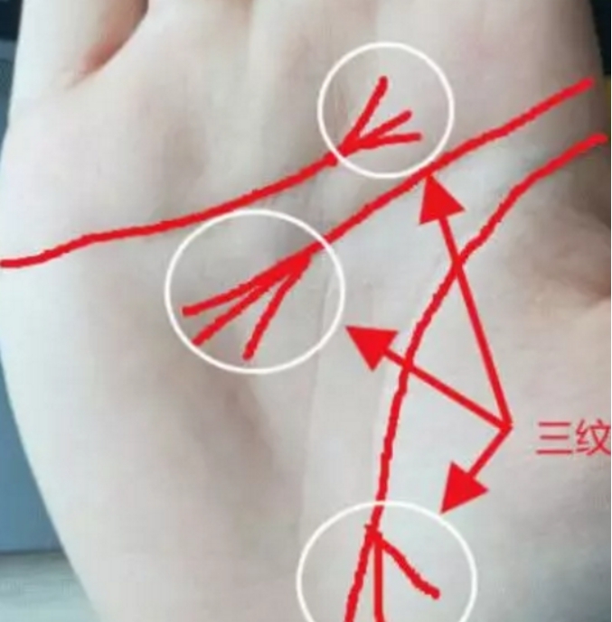 无论男孩子還是女孩,要是是感情线,智慧线,生命线的尾端成三叉,或多叉