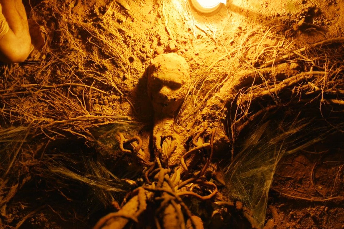 老太太被埋在土里15年不吃不喝还活着真相让人不寒而栗