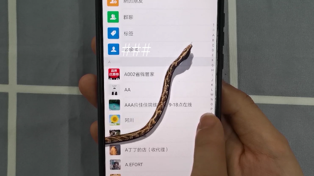 教你微信里养一条大蟒蛇！女友碰你微信，它就爬出来！太吓人了