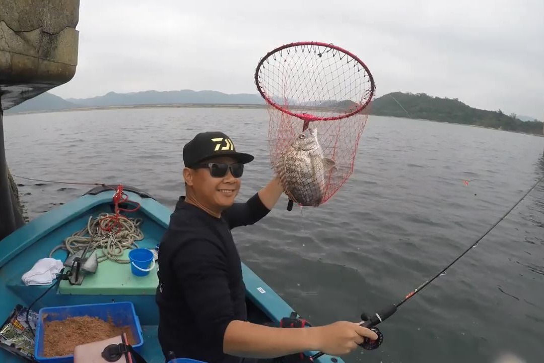 釣魚人出船筏釣,黑鯛一條接一條上鉤,看著我釣癮又犯了