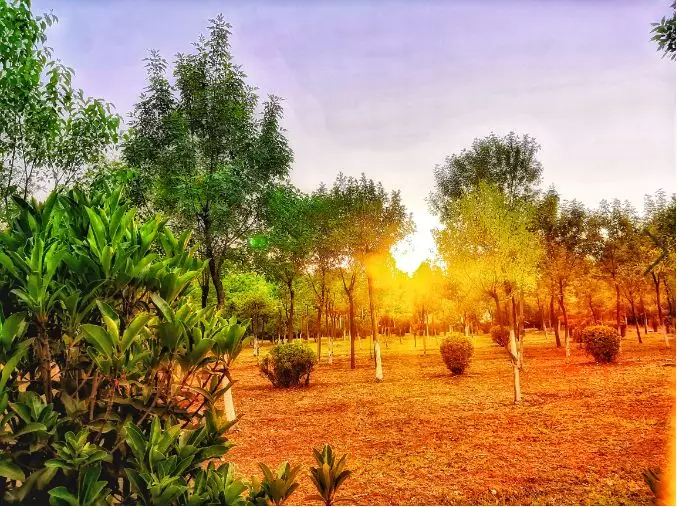 仁清法师:《认识心性 速证法身》之万法皆空(十三)__凤凰网