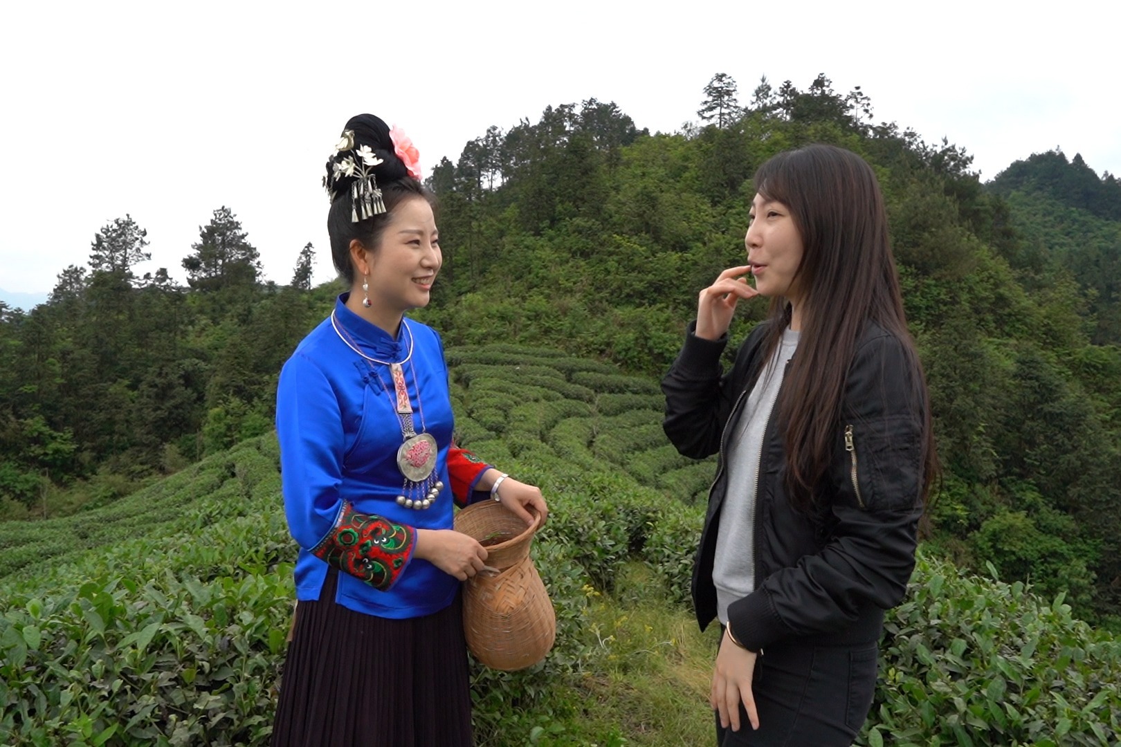 贵州大山里神奇的梯田茶园，春暖花开，与苗族美女一起来采茶