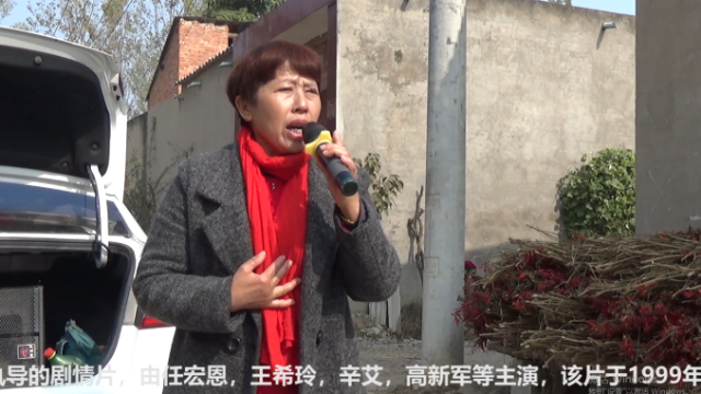 民间高人演唱豫剧赵铁贤哭坟高手在民间你听听怎么样