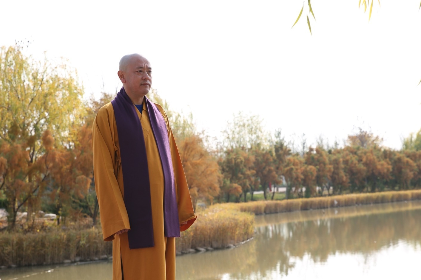 宏圆法师：郁郁黄花无非般若，青青翠竹尽是法身