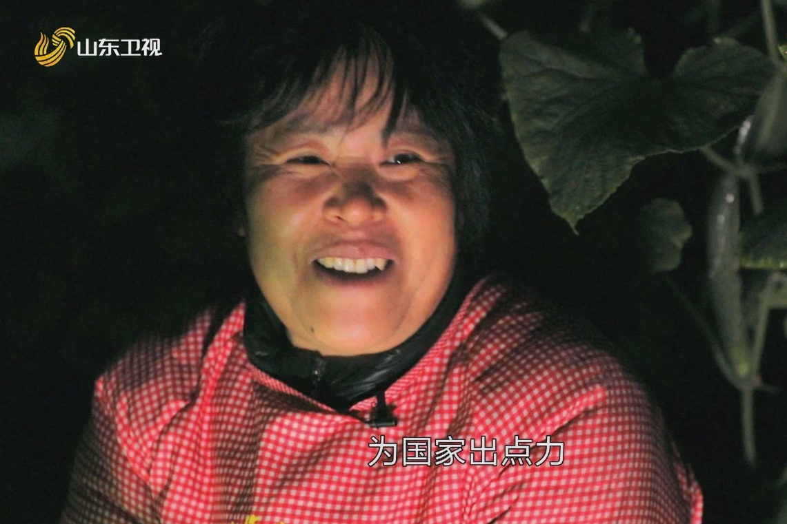 咱老百姓没有钱就为国家出份力临沂菜农这句话让人泪目