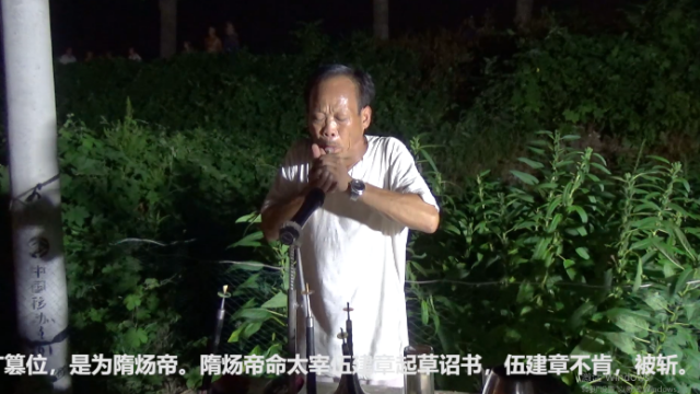 唢呐模仿唐喜成大师的豫剧《南阳关》一听就是童子功，值得点赞！