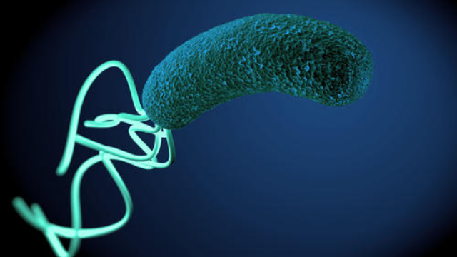 幽门螺杆菌，藏在你胃里的“一级致癌物”！到底有多厉害？