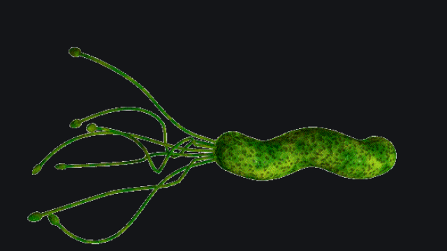 已经发现幽门螺杆菌的死对头,杀菌养胃修复胃粘膜,胃病从此远离