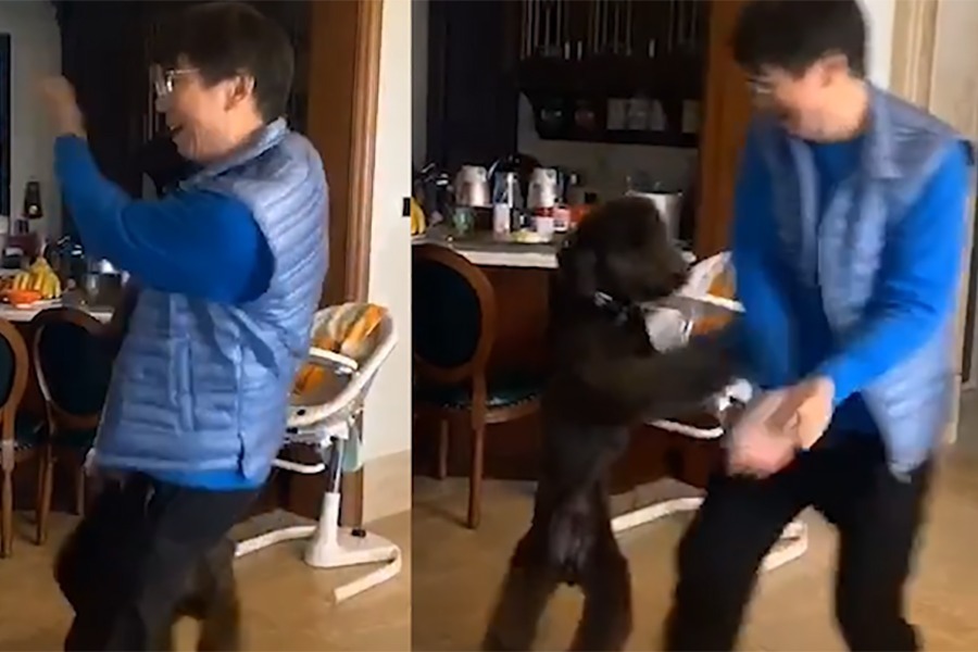邢捕头宅家高嗨！范明跳小苹果逗孙子玩，狗狗跳舞博关注被无视