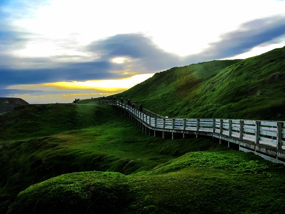 诺比司角居住着澳洲最大的海豹群,夕阳落下时,这里景色超美