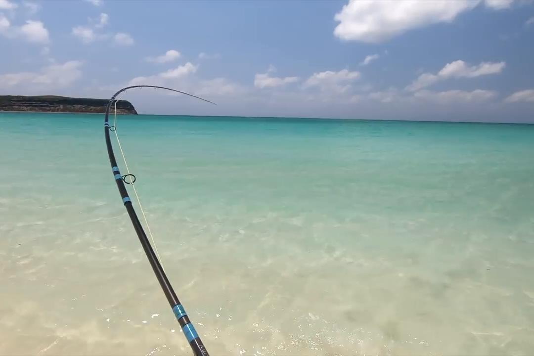 沙灘飛繩釣魚,剛下水就連竿中魚,這種體驗太爽了_鳳凰網視頻_鳳凰網