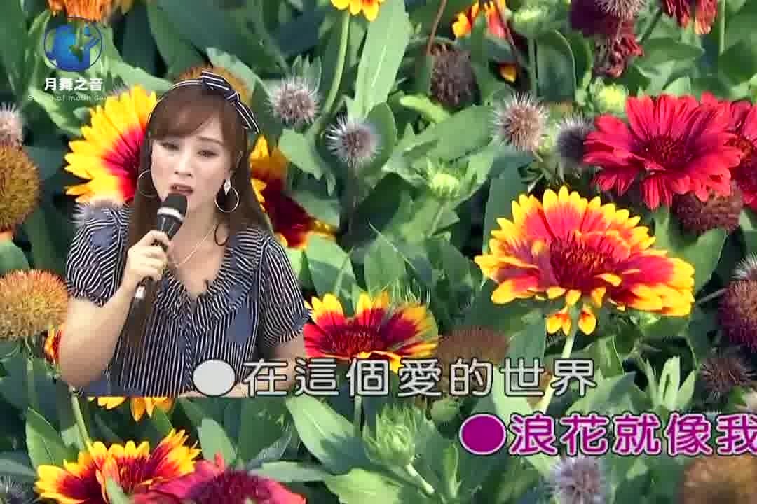 带你一起听好歌翻唱经典歌曲爱在夕阳下