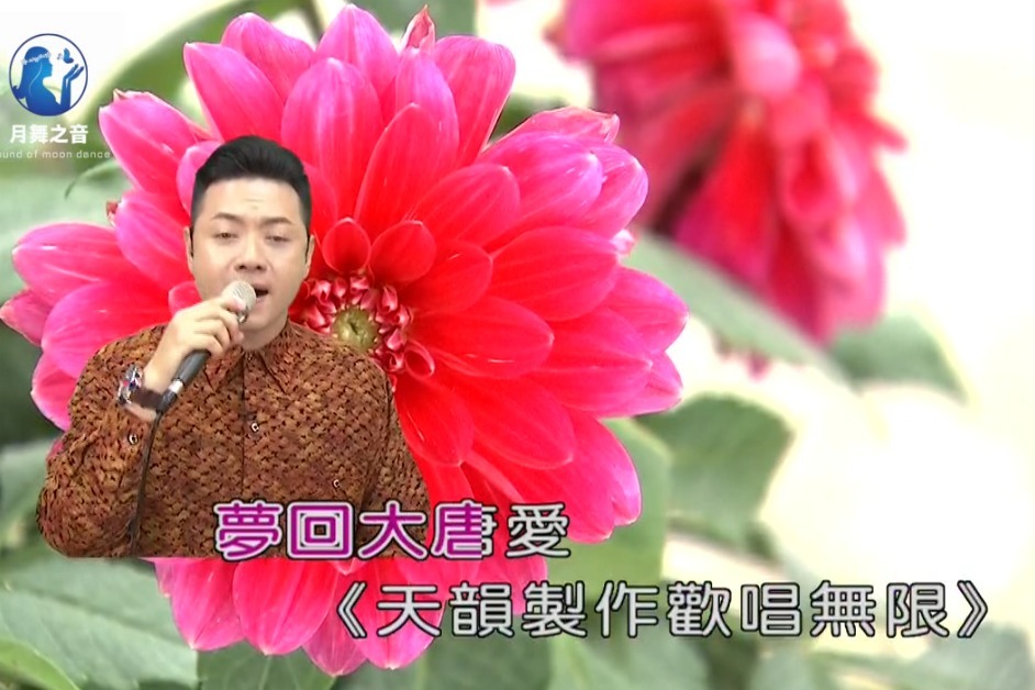 带你一起听好歌 翻唱歌曲 新贵妃醉酒