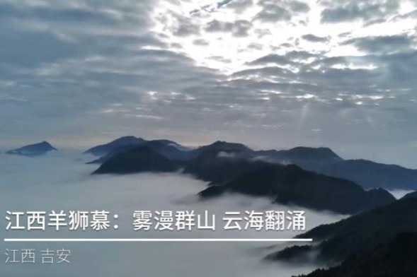 江西羊狮慕：雾漫群山 云海翻涌
