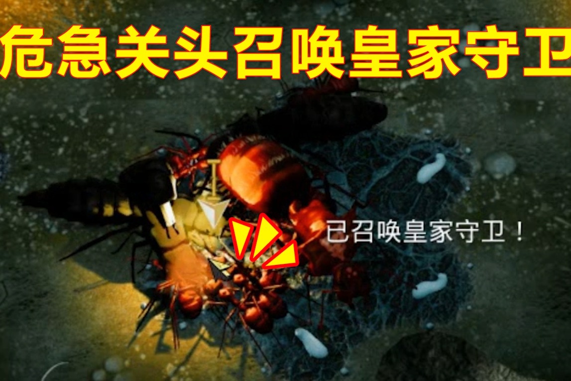 蚂蚁模拟器05：熊不理猪率领蚂蚁军团挑战主线，召唤皇家守卫过关