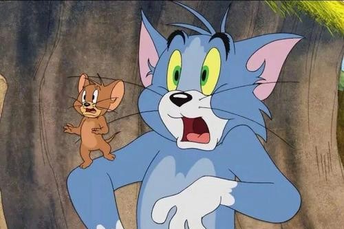 猫和老鼠方言配音：杰瑞被包围了，汤姆放下一句话：出来投降吧！