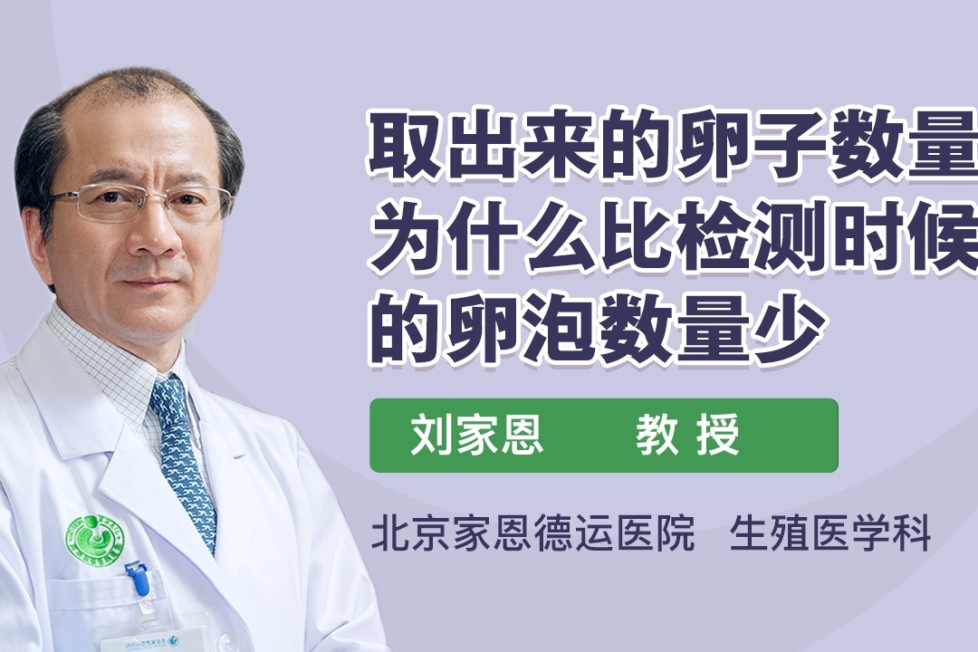 卵泡少？15个调理方法，重振卵巢活力，助孕成功 (卵泡少只有2个怎么办)