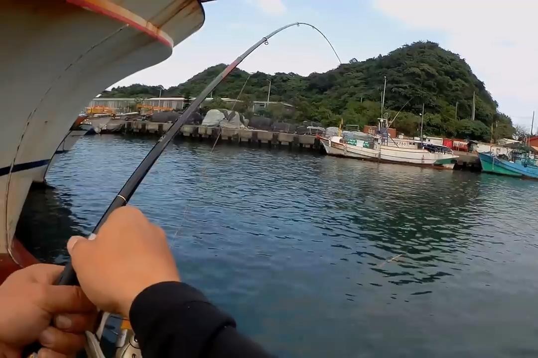 漁港磯釣06號竿飛魚上岸這手感太好了